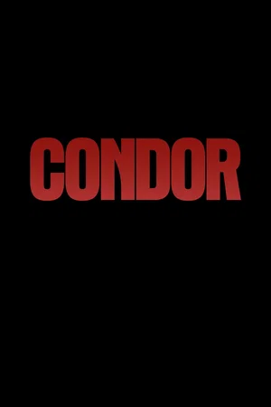 Photo 7 de la série : Condor
