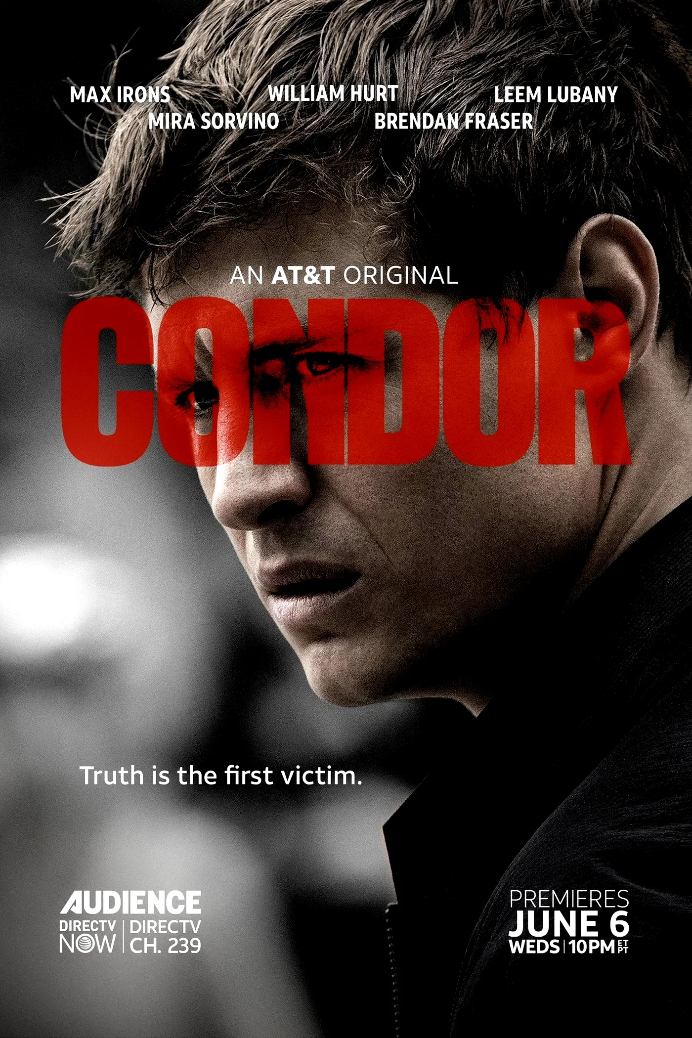Photo 8 de la série : Condor