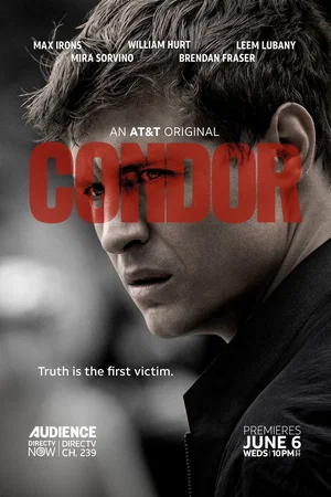 Photo 8 de la série : Condor