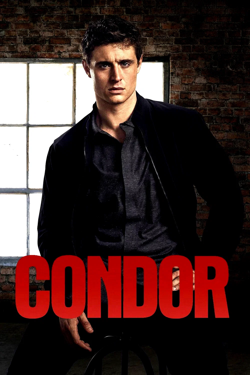 Photo 9 de la série : Condor