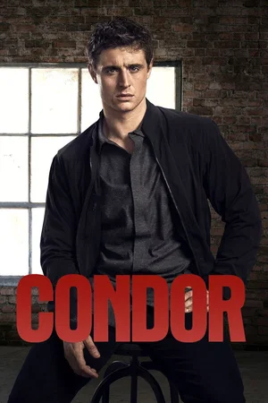 Photo 9 de la série : Condor
