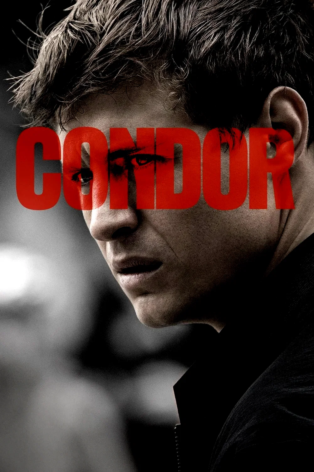 Photo 11 de la série : Condor