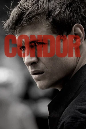 Photo 11 de la série : Condor