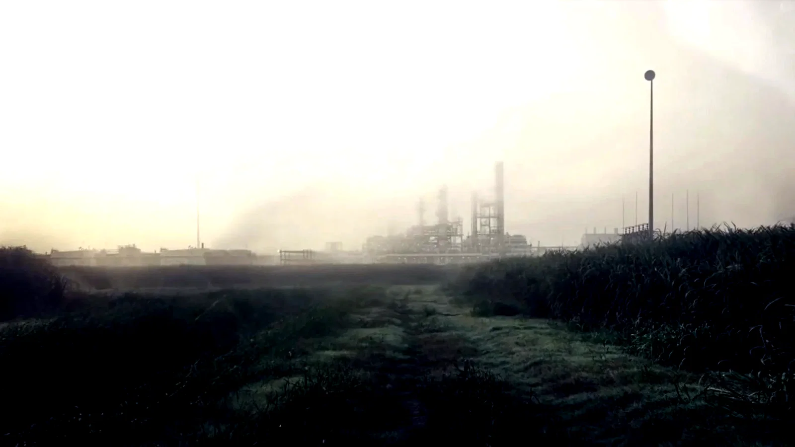 Photo 3 de la série : True Detective