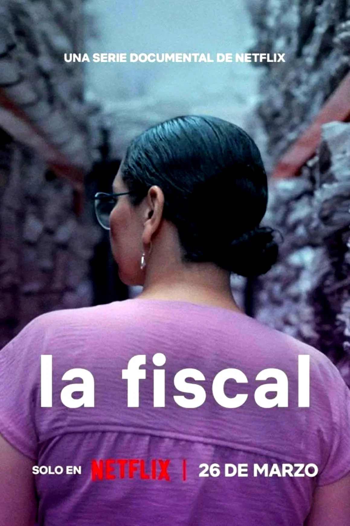 Affiche de la série : The Prosecutor