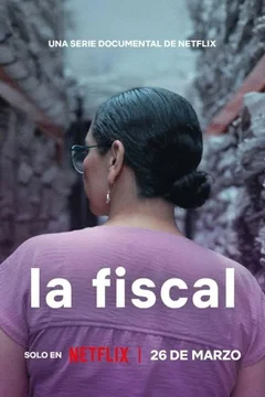 Affiche de la série The Prosecutor