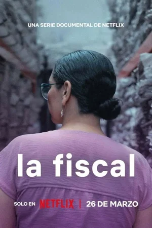 Affiche de la série : The Prosecutor