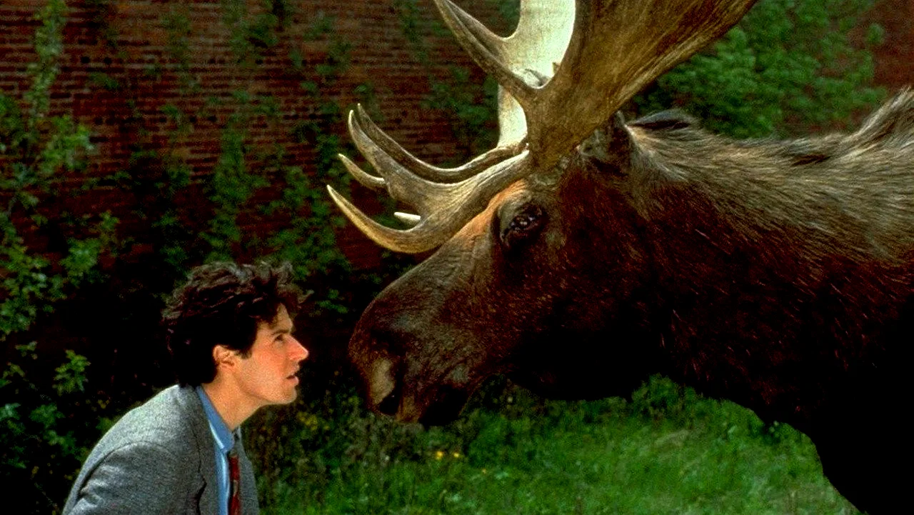 Photo 3 de la série : Bienvenue en Alaska