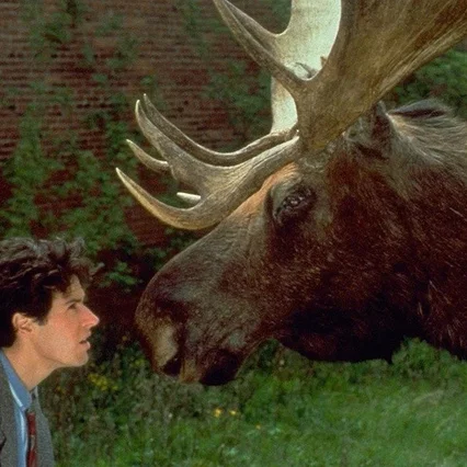 Photo de la série : Bienvenue en Alaska