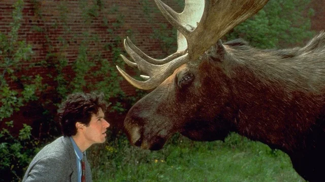 Photo 3 de la série : Bienvenue en Alaska