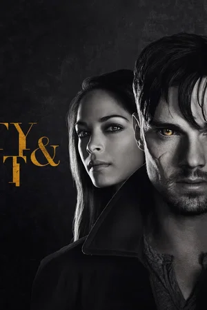 Affiche de la série : Beauty and the Beast