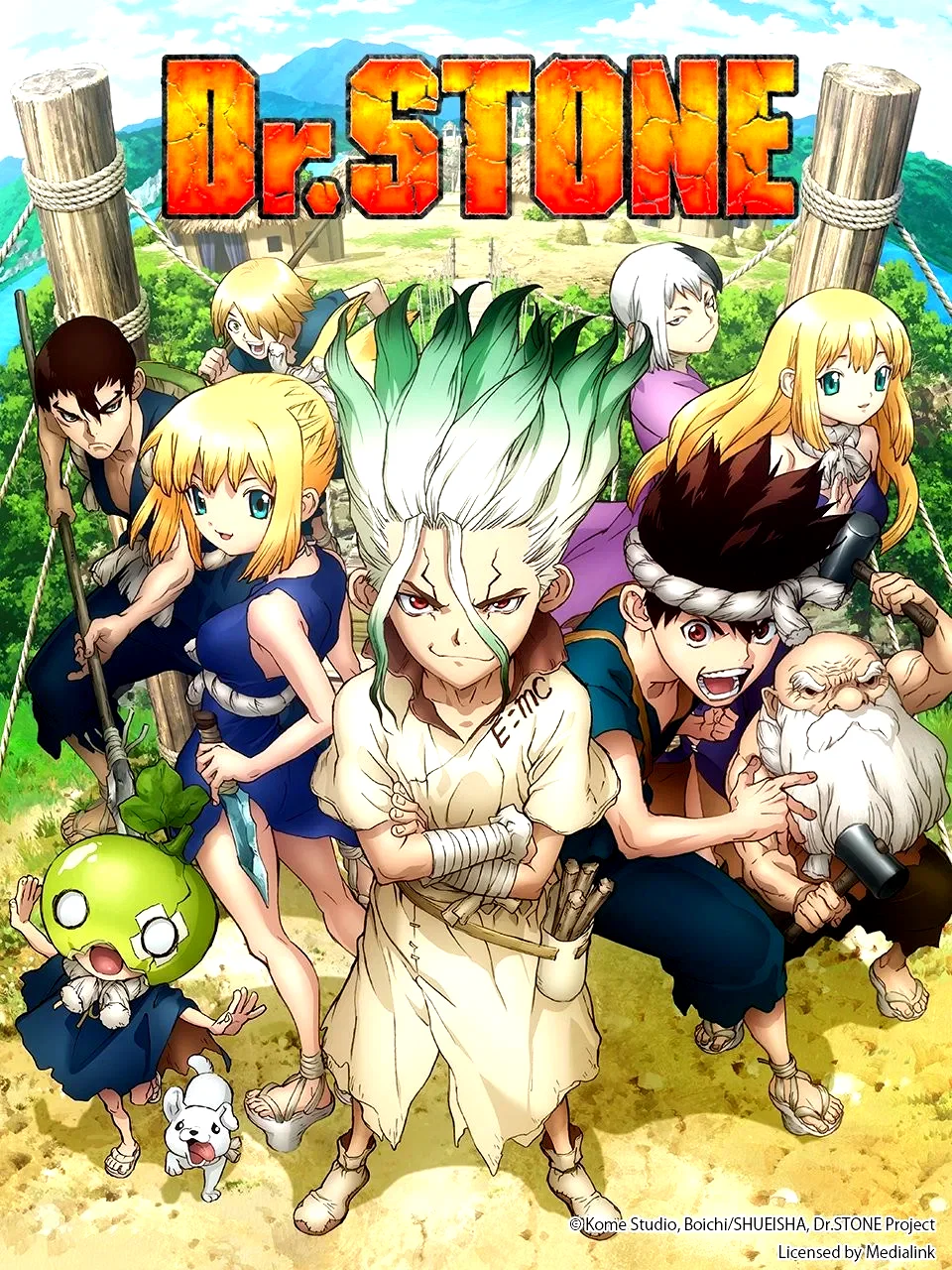 Photo 6 de la série : Dr. STONE