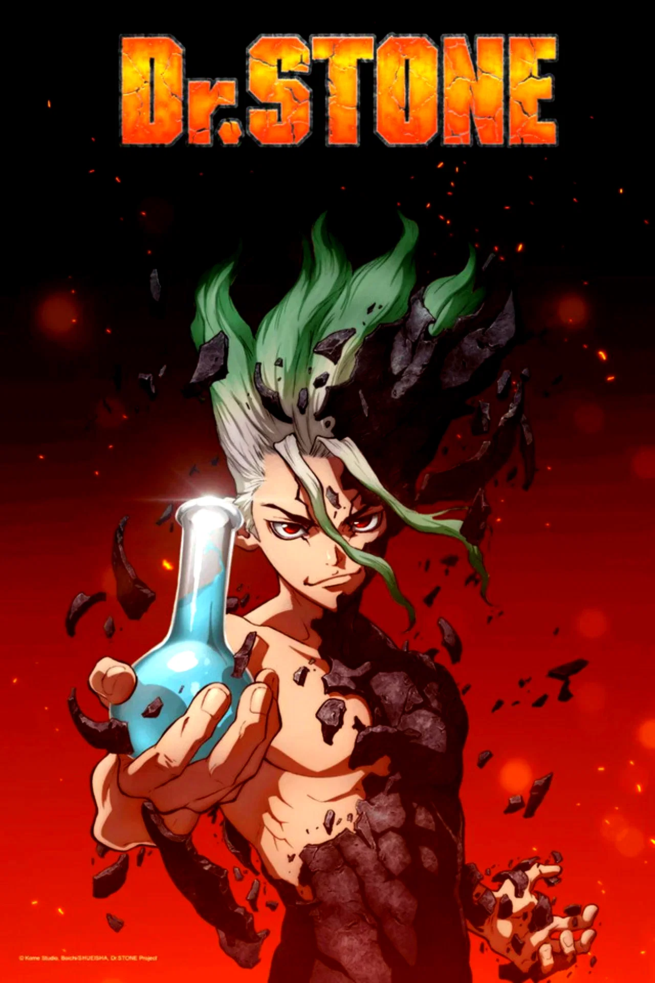 Photo 8 de la série : Dr. STONE