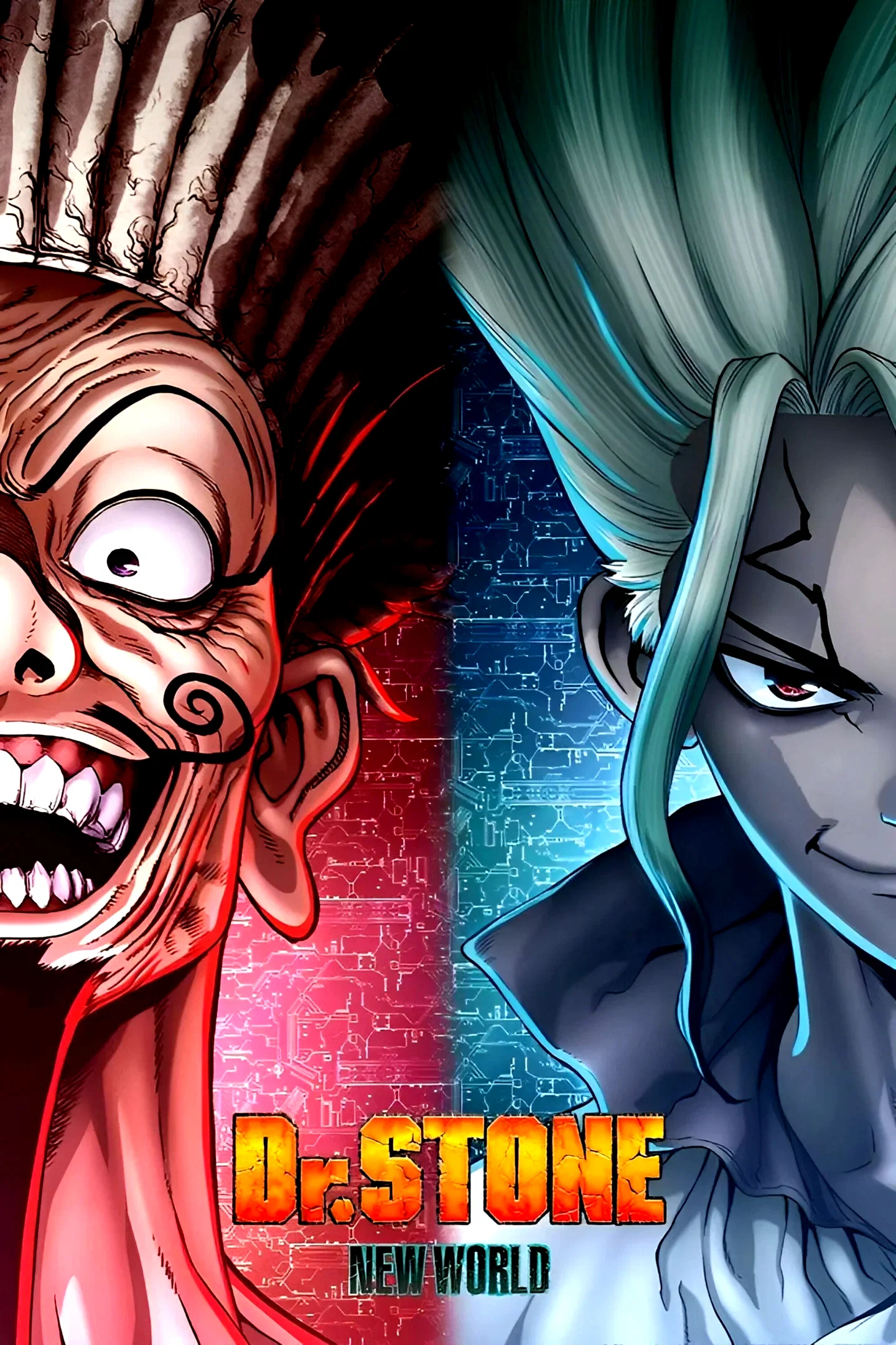 Photo 12 de la série : Dr. STONE