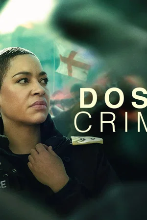 Affiche de la série : Criminal Record