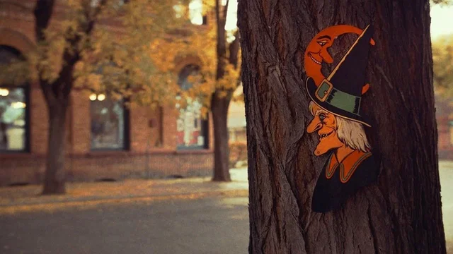 Photo 3 de la série : La Saison des Sorcières