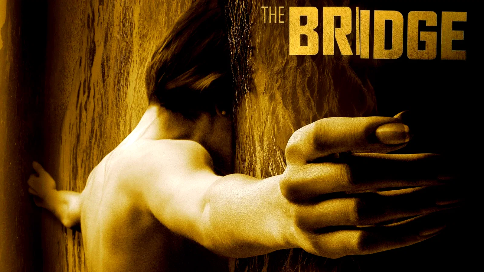 Affiche de la série : The Bridge