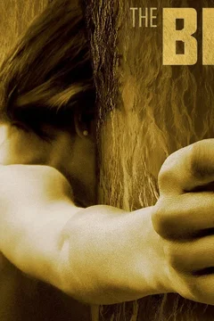 Affiche de la série The Bridge