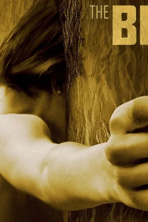Affiche de la série : The Bridge