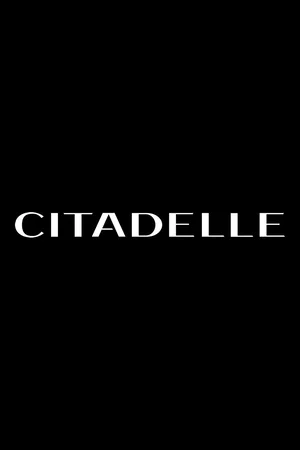 Photo de la série : Citadel