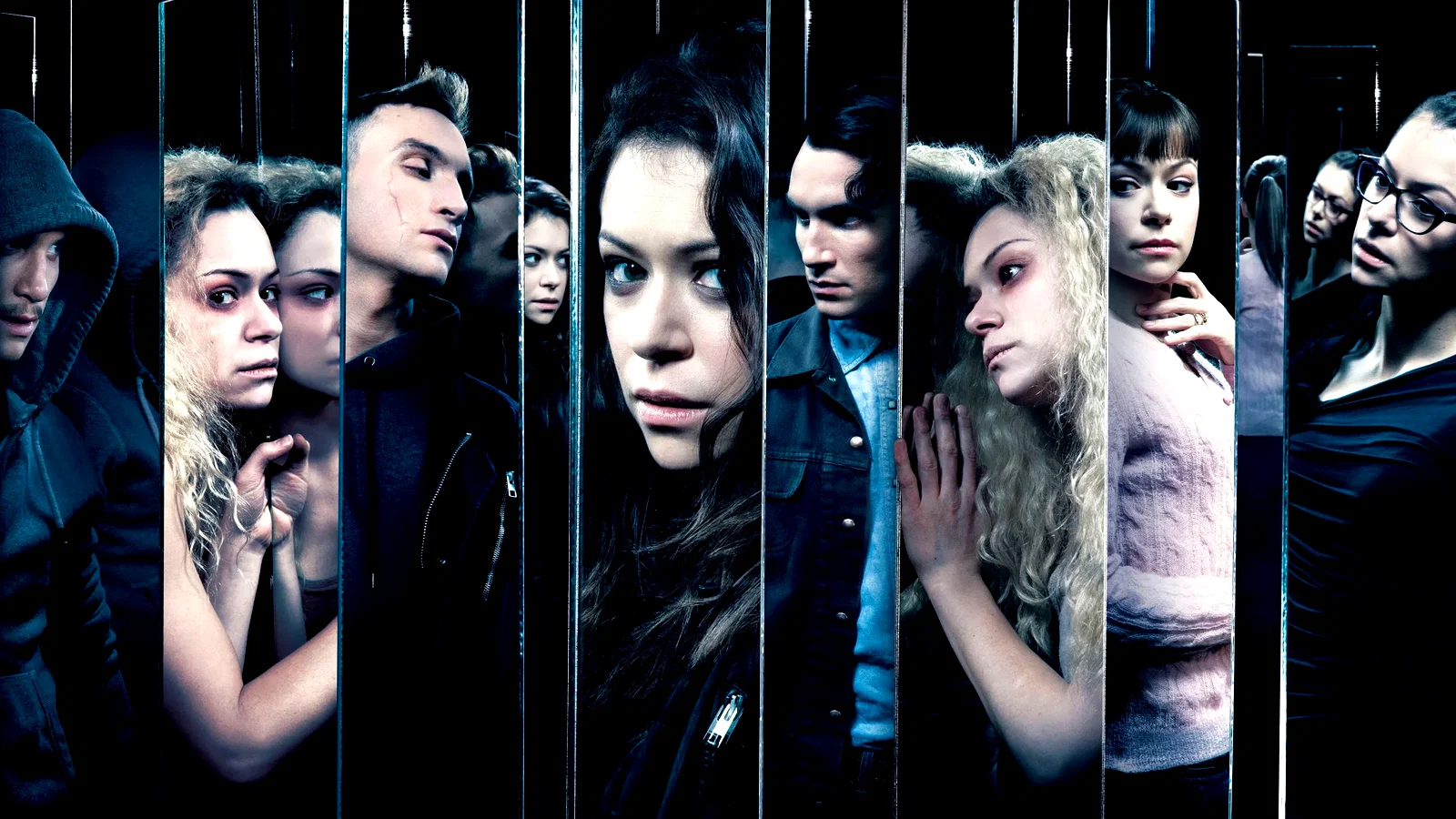 Photo 5 de la série : Orphan Black