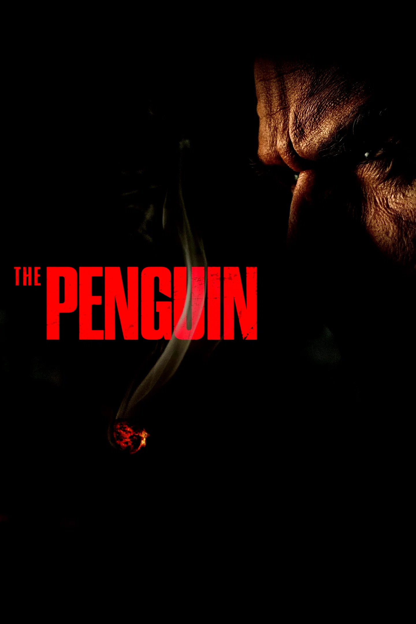 Photo 3 de la série : The Penguin