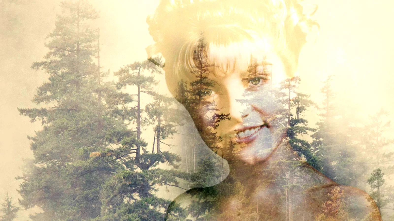 Photo de la série : Twin Peaks