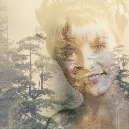 Photo de la série : Twin Peaks