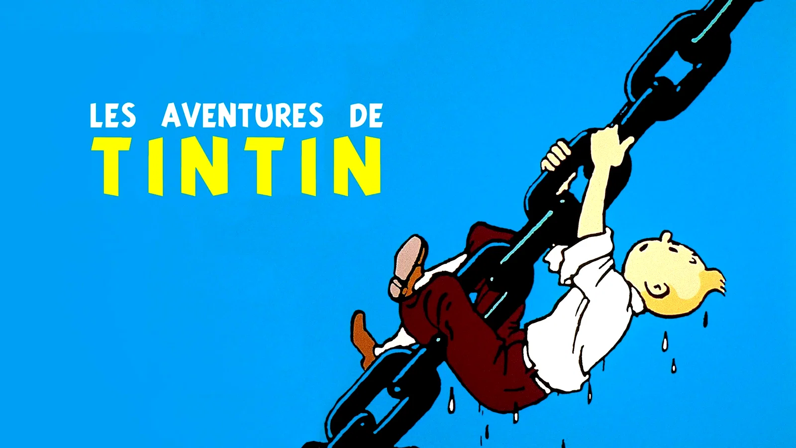 Photo 5 de la série : Les Aventures de Tintin