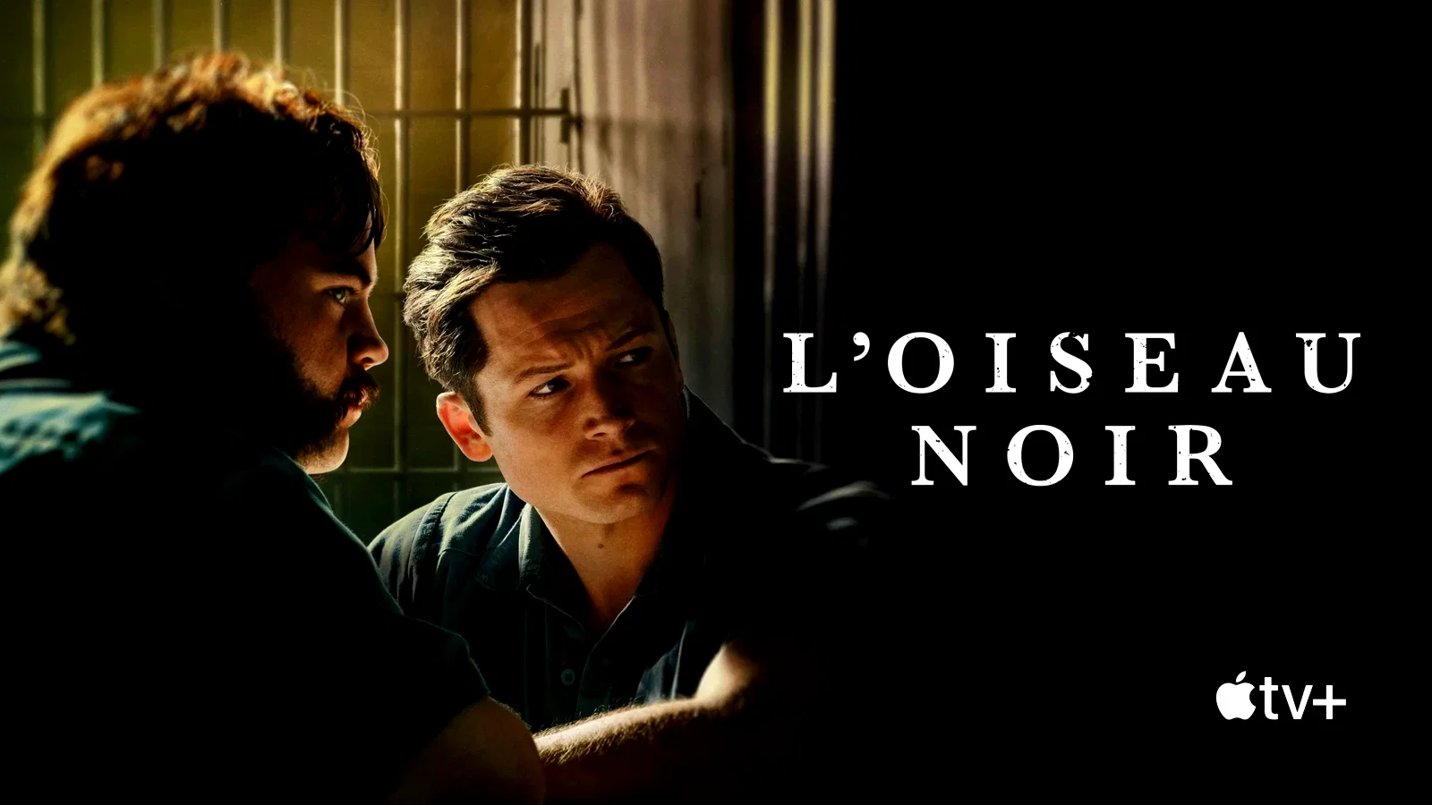 Photo 2 de la série : Black Bird