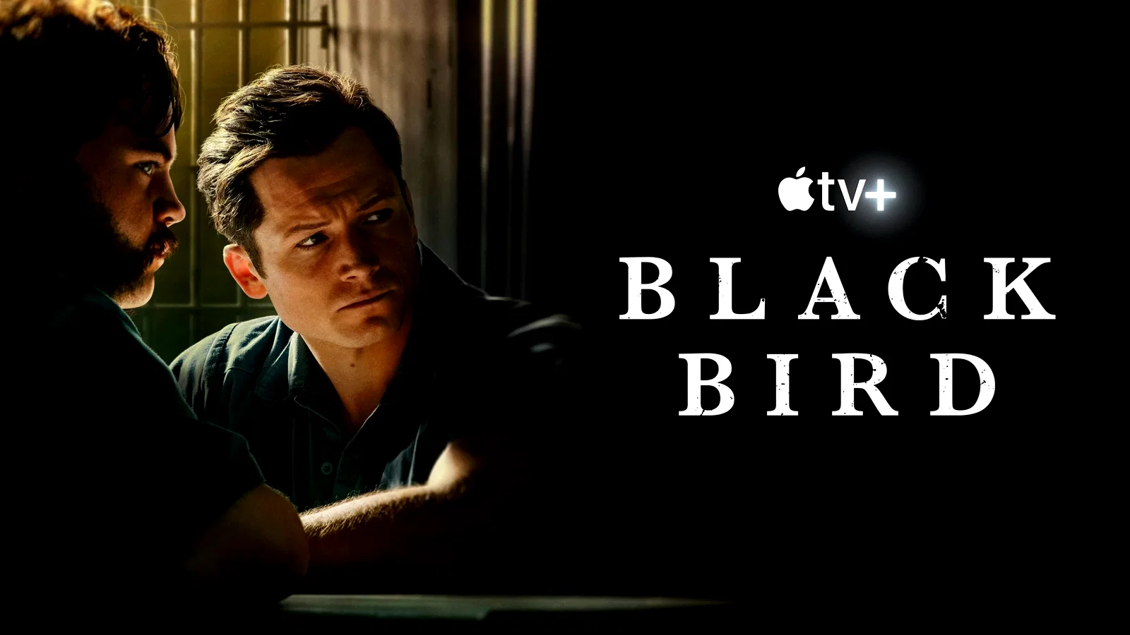 Photo 3 de la série : Black Bird
