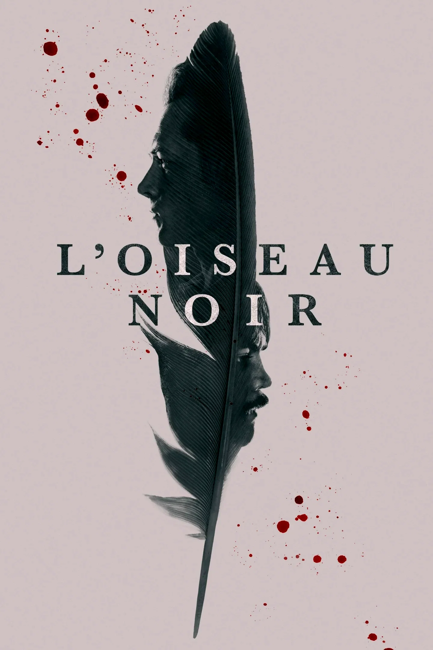Photo 5 de la série : Black Bird