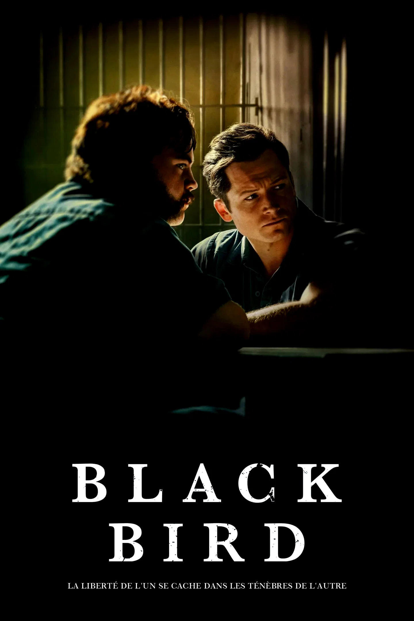 Photo 6 de la série : Black Bird