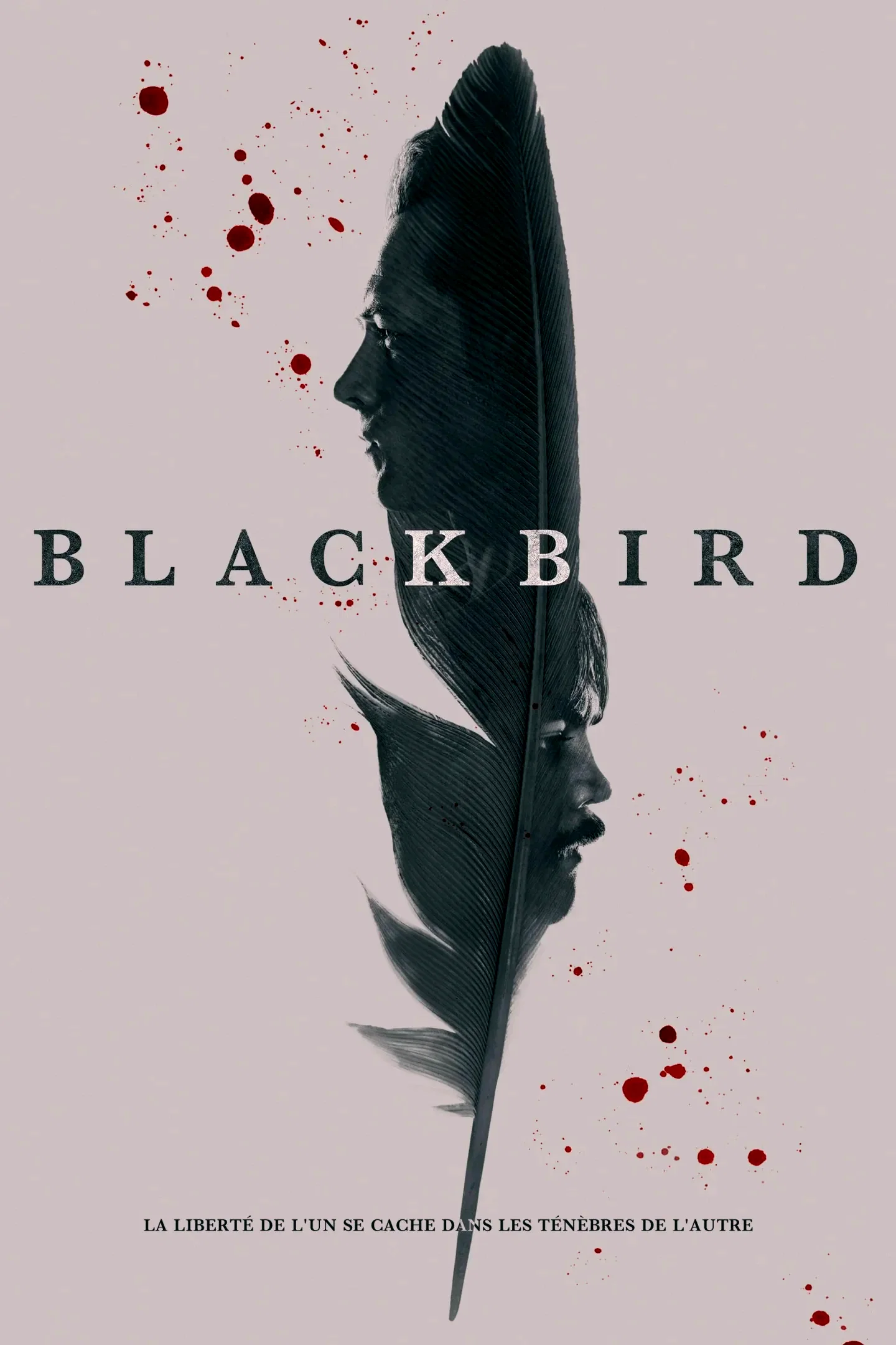 Photo 7 de la série : Black Bird
