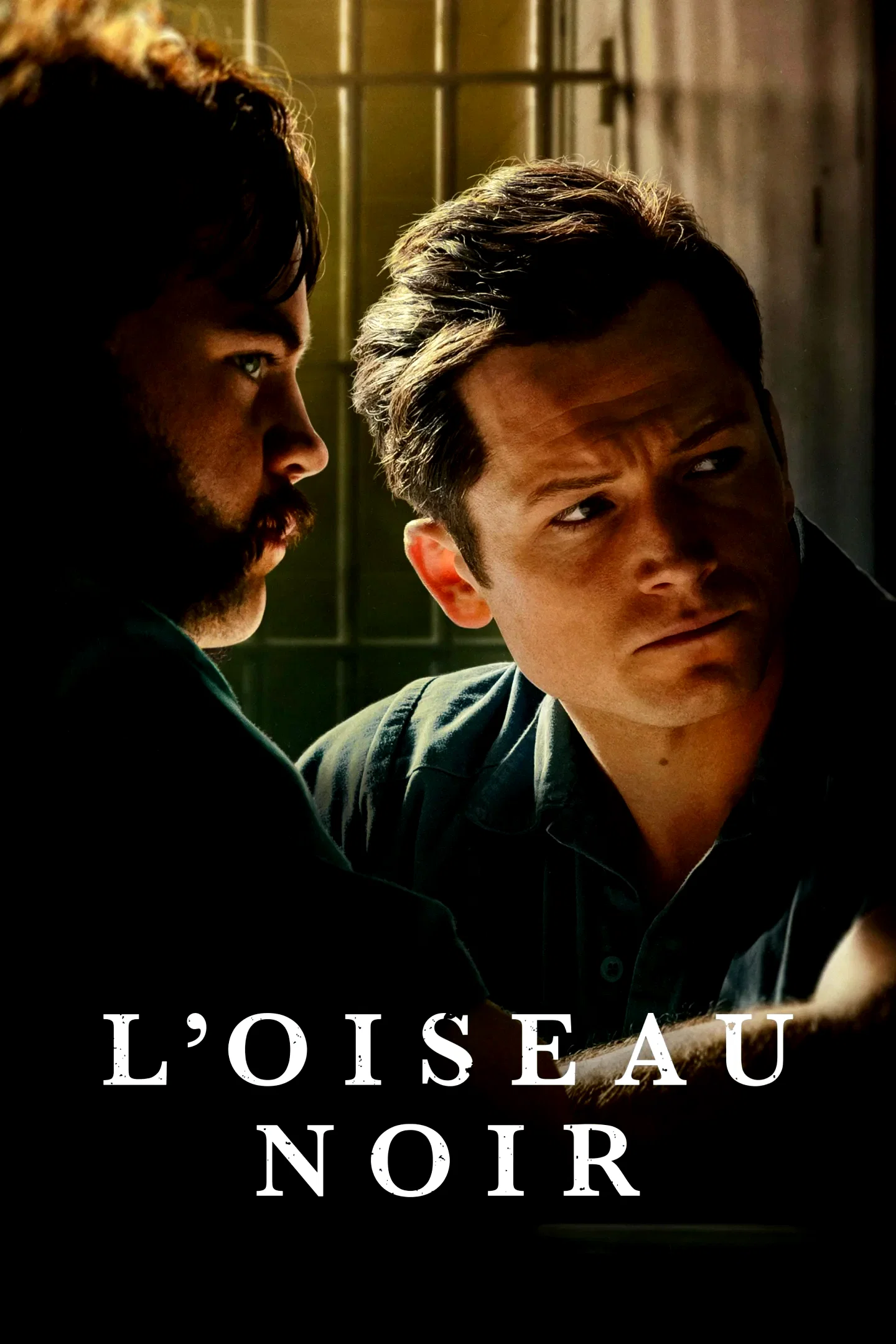 Photo 8 de la série : Black Bird