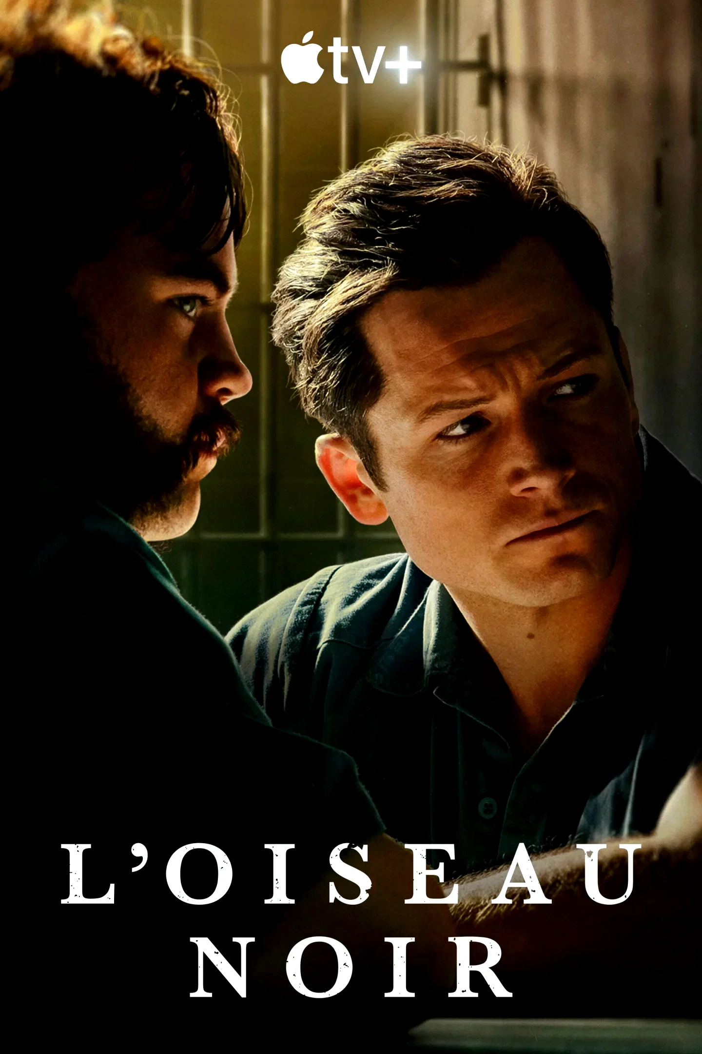 Photo 9 de la série : Black Bird