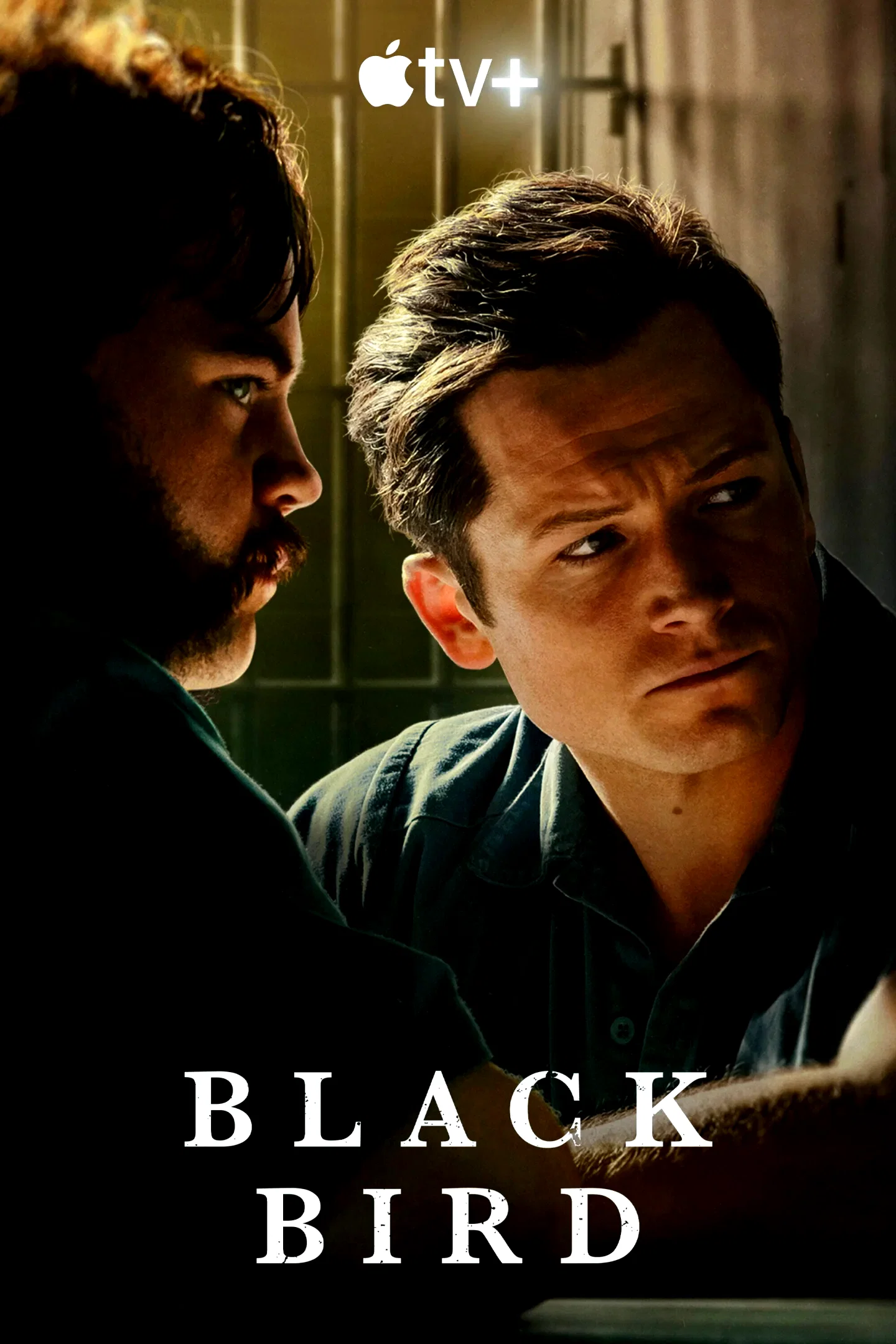 Photo 10 de la série : Black Bird