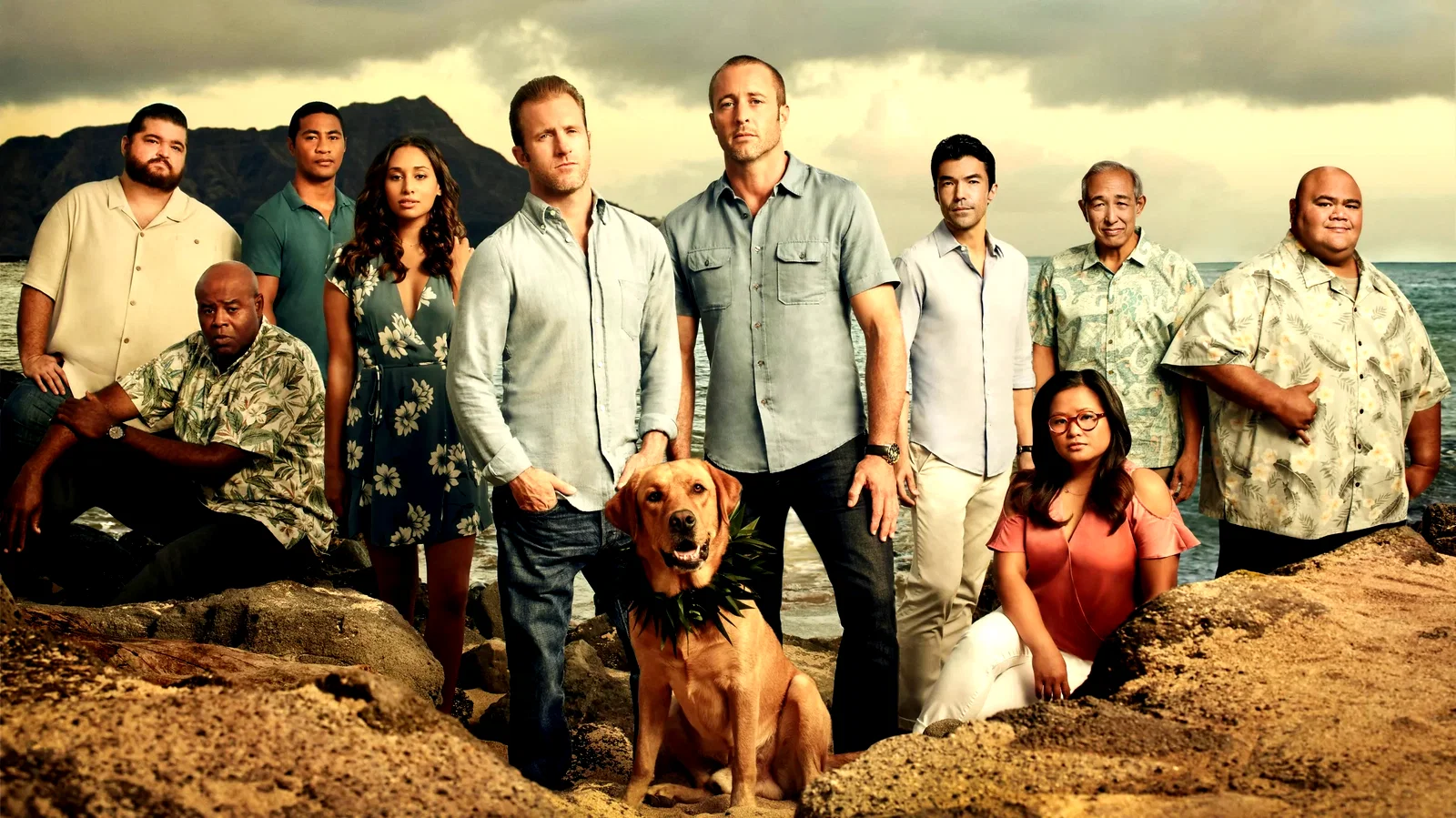Photo 6 de la série : Hawaii 5-0