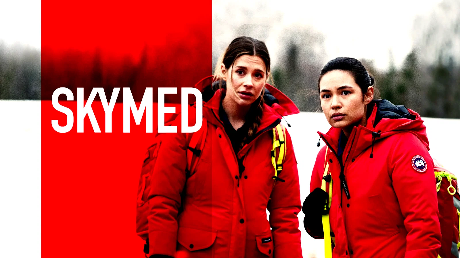 Affiche de la série : SkyMed
