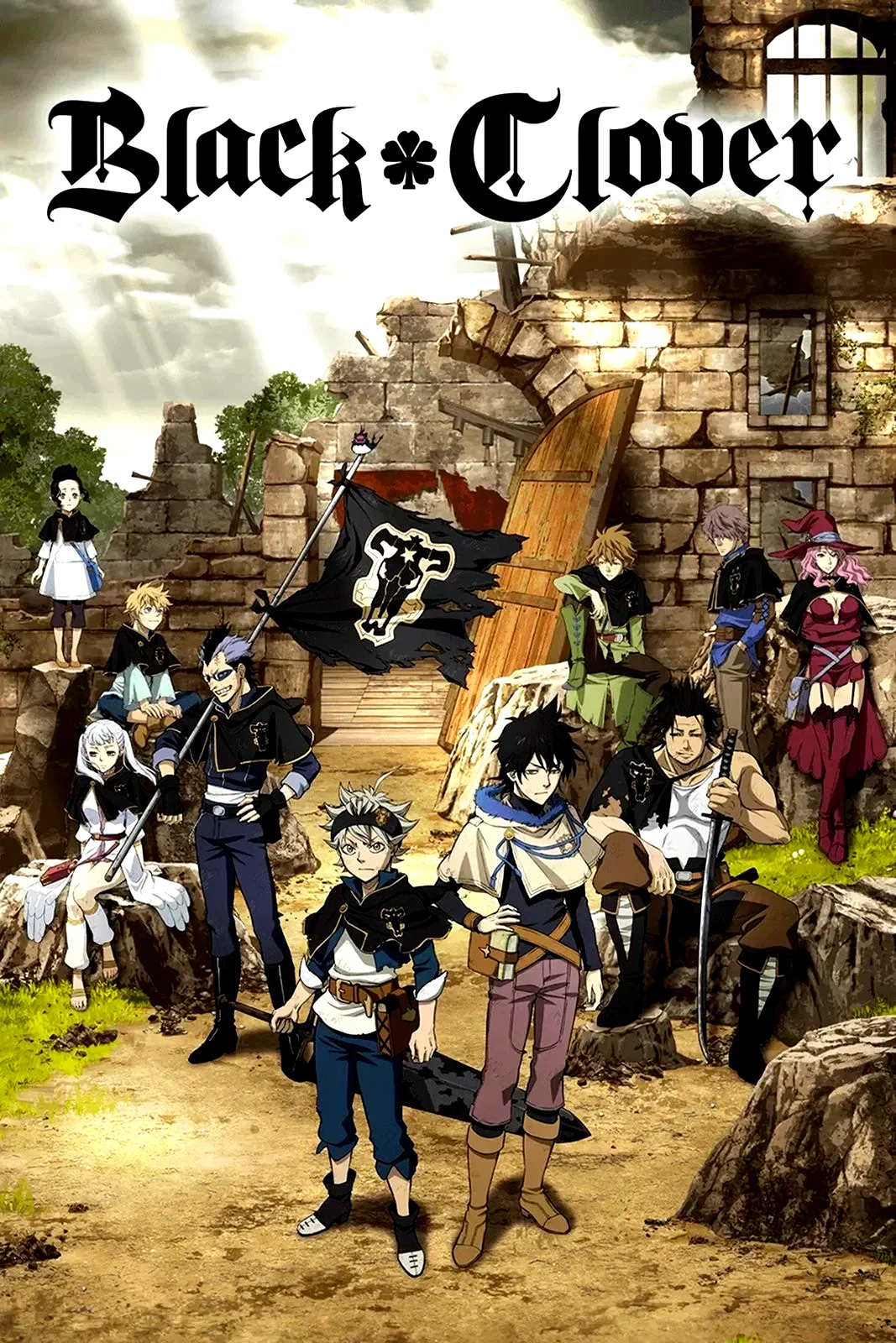Photo 9 de la série : Black Clover