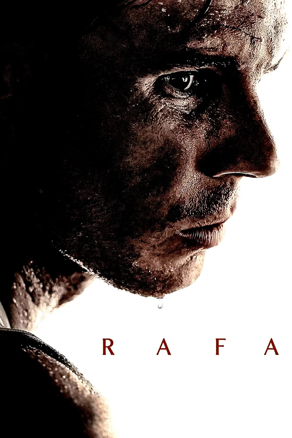 Photo de la série : Rafa