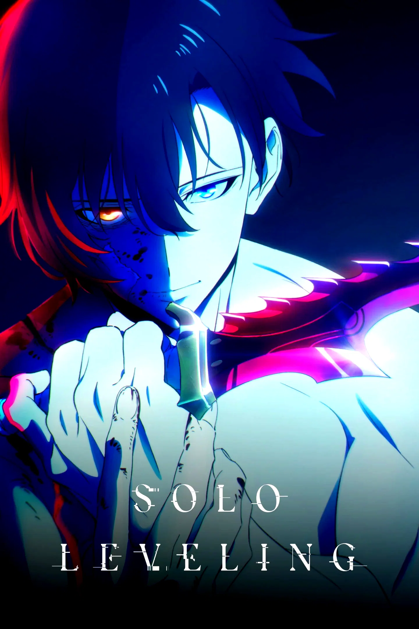 Photo 12 de la série : Solo Leveling