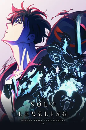 Photo 13 de la série : Solo Leveling
