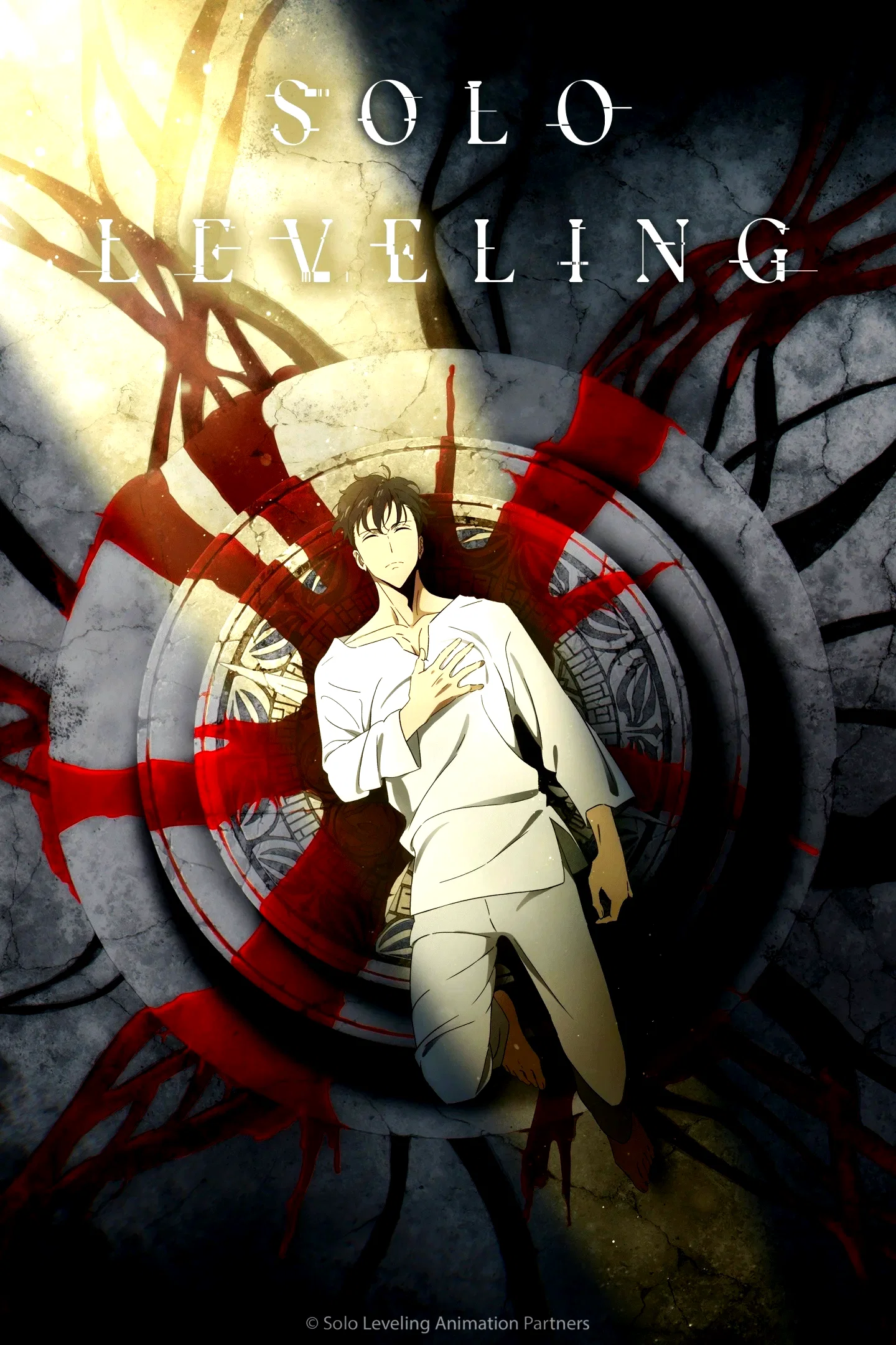 Photo 16 de la série : Solo Leveling