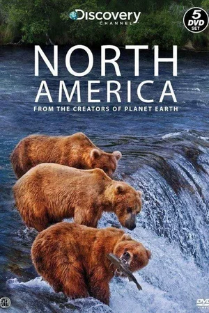 Photo 2 de la série : North America