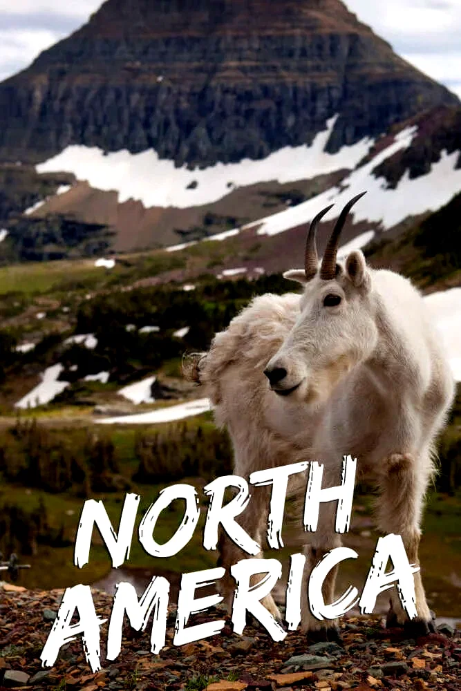 Photo 3 de la série : North America