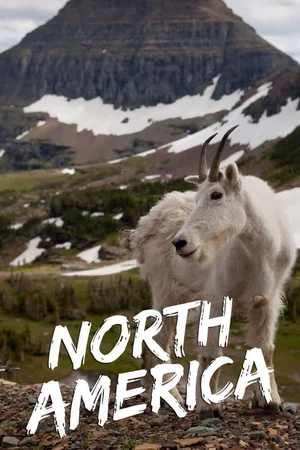 Photo 3 de la série : North America