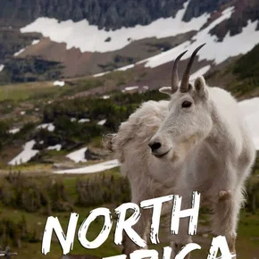 Photo de la série : North America