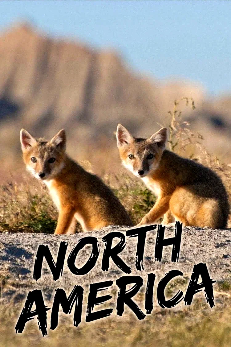 Photo 4 de la série : North America