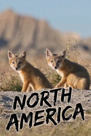 Photo 4 de la série : North America